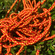 Charger l'image dans la galerie, VIPER
